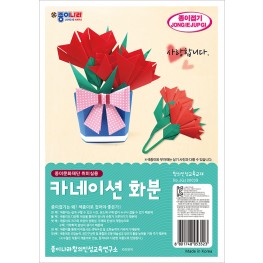 카네이션 화분